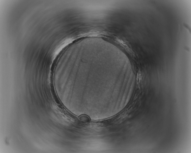 X0000102770292200809081011