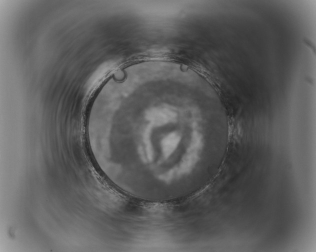 X0000102770293200809081011