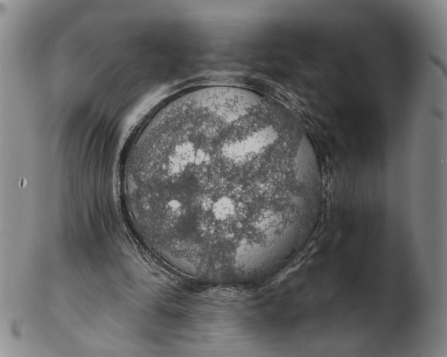 X0000102770294200809081011