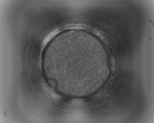 X0000102770296200809081011