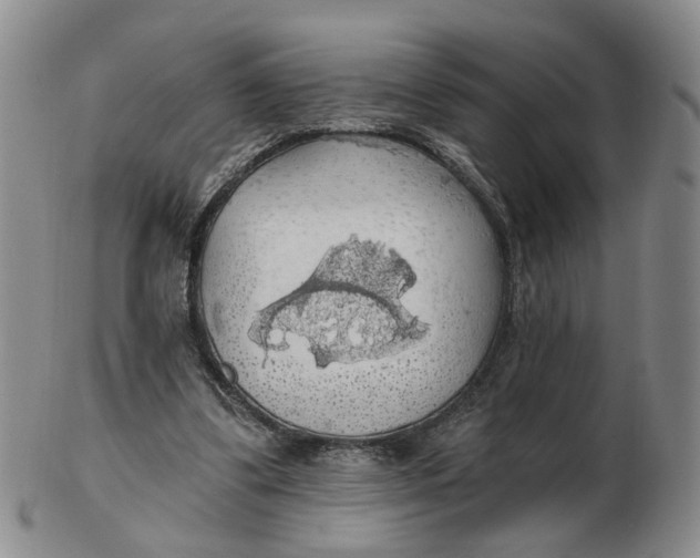 X0000102770299200809081011