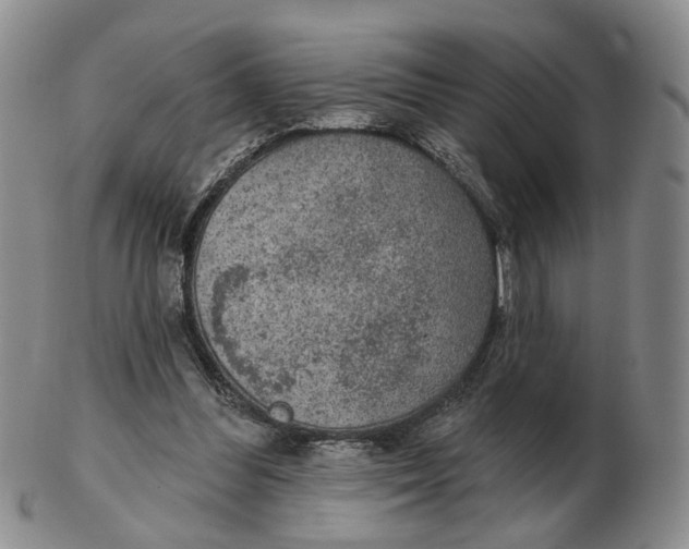 X0000102770300200809081011