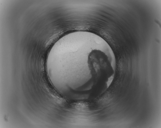 X0000102770303200809081011