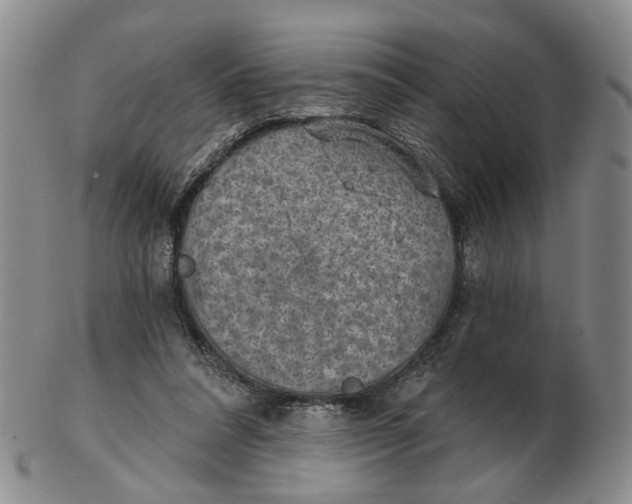 X0000102770304200809081011