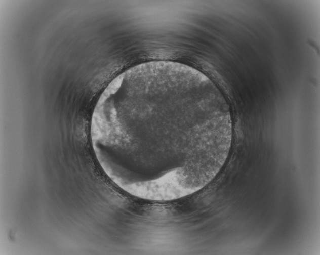 X0000102770305200809081011