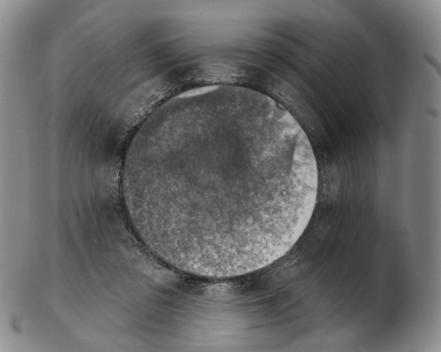 X0000102770309200809081011