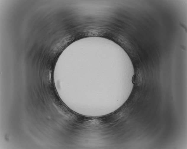 X0000102770310200809081011