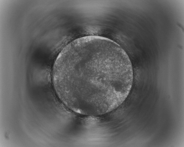 X0000102770313200809081011