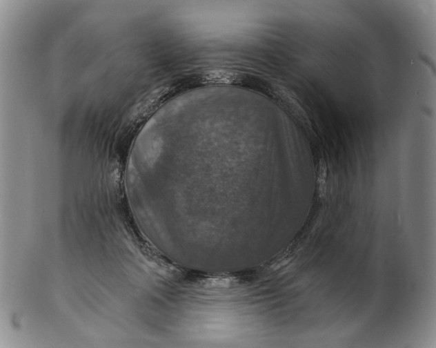 X0000102770314200809081010