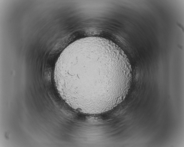 X0000102770315200809081010