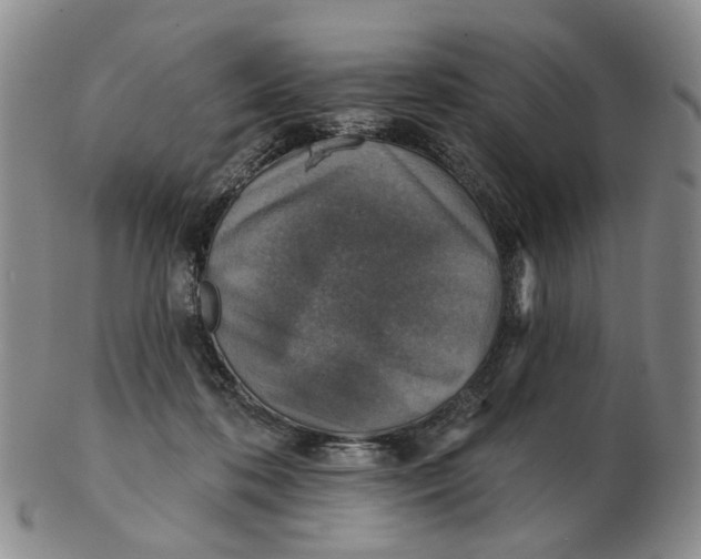 X0000102770316200809081010