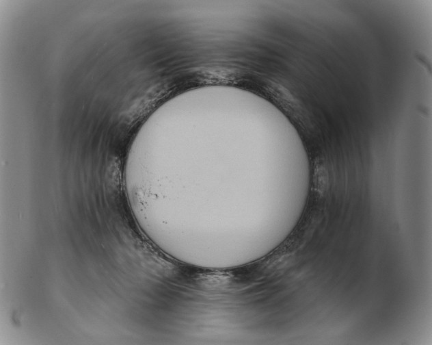 X0000102770318200809081010