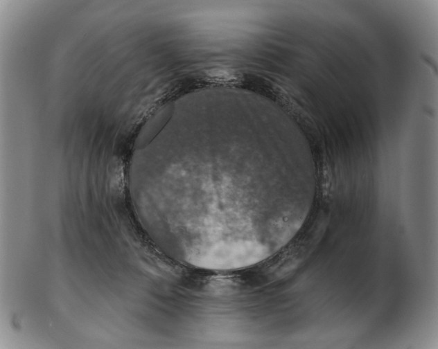 X0000102770320200809081010