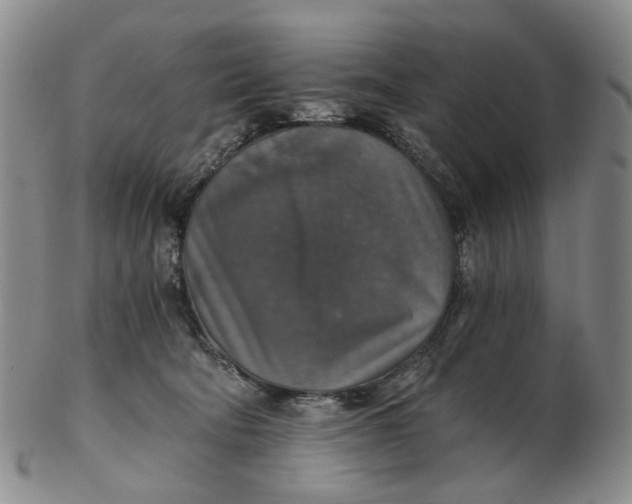 X0000102770322200809081010