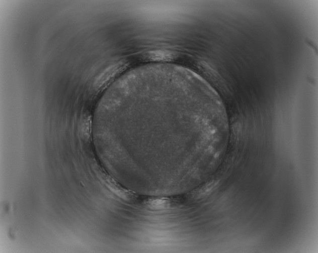 X0000102770325200809081010