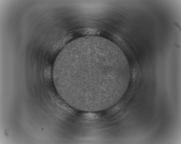 X0000102770326200809081010