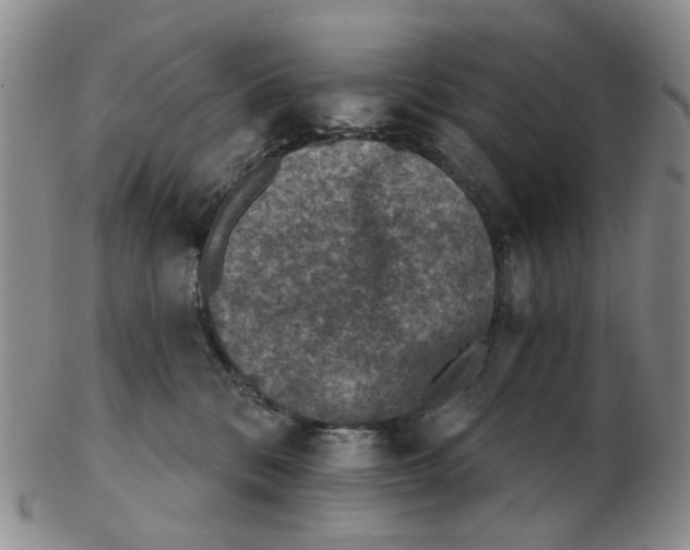 X0000102770328200809081010