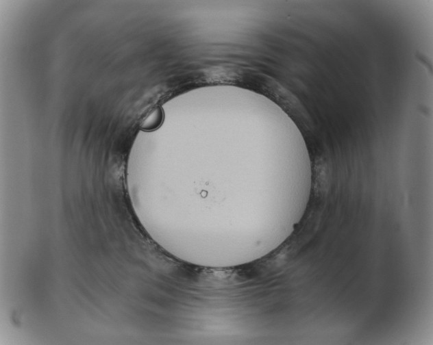 X0000102770329200809081010