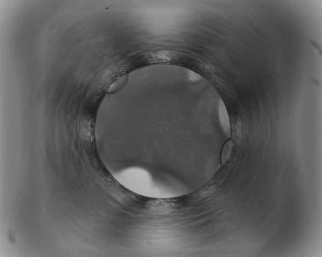 X0000102770331200809081010