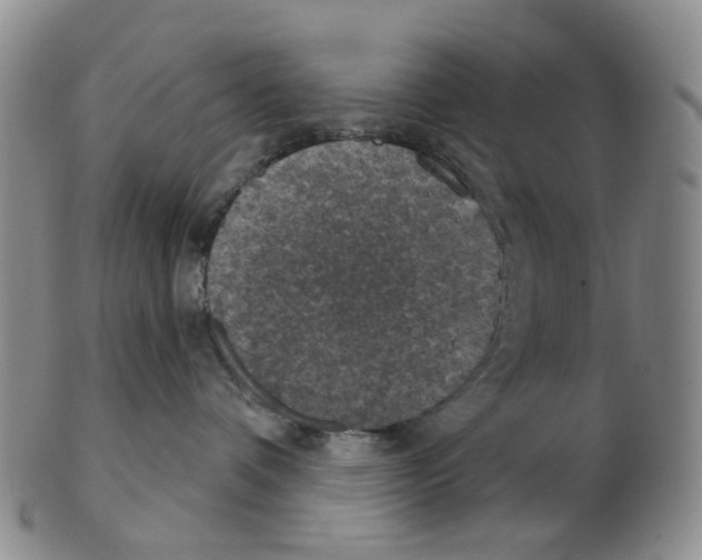 X0000102770336200809081010