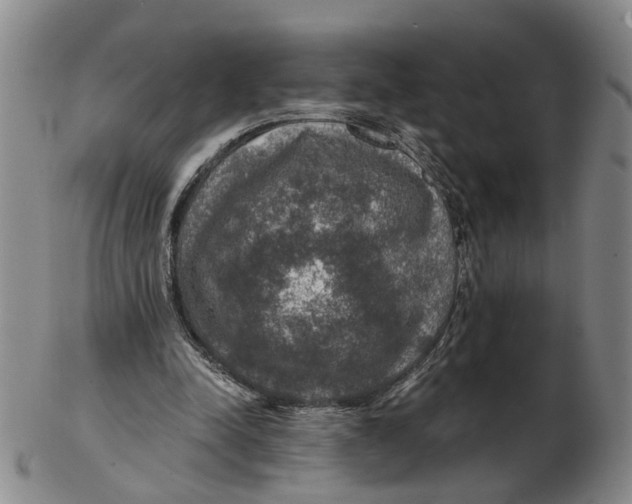 X0000102770342200809081010