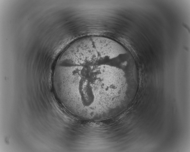 X0000102770346200809081010