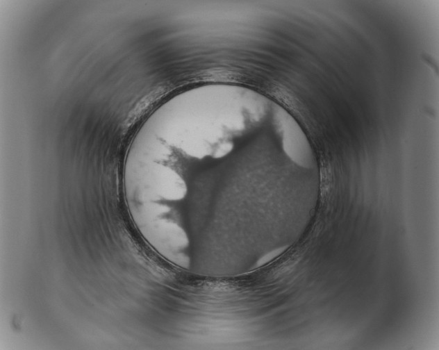 X0000102770349200809081010