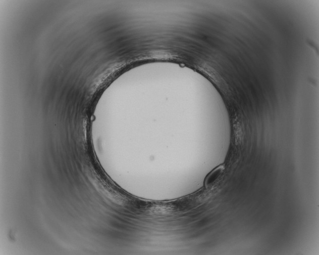 X0000102770350200809081010