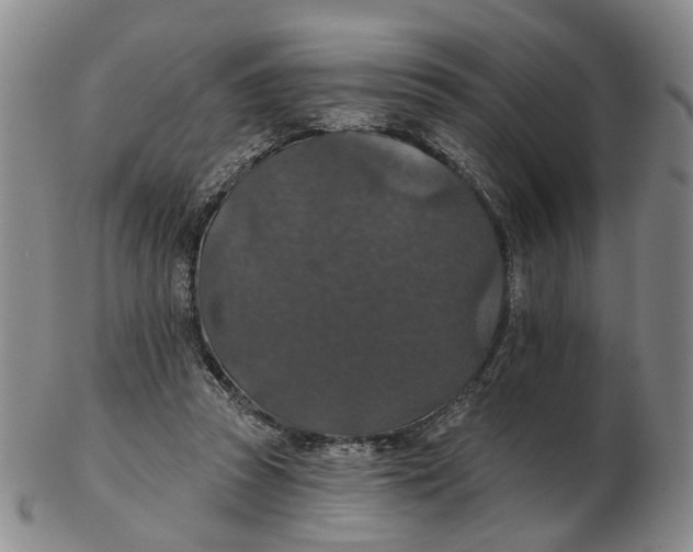 X0000102770353200809081010