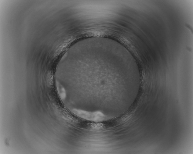 X0000102770355200809081010