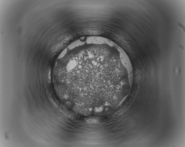 X0000102770358200809081010