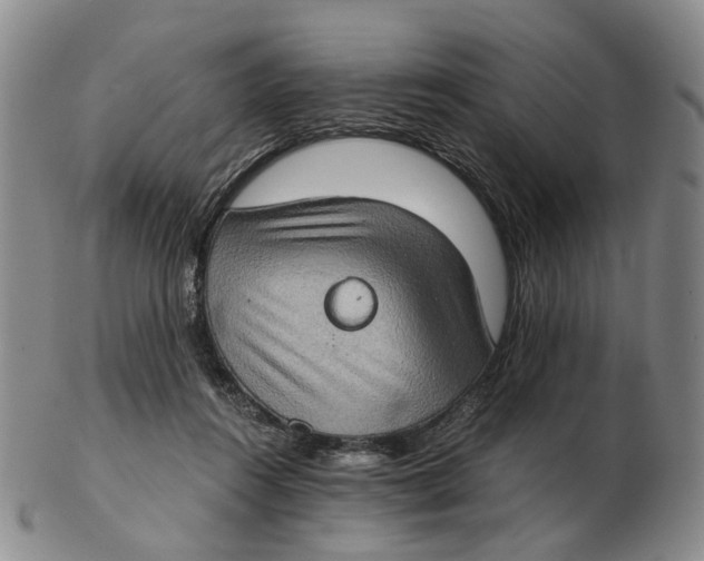 X0000102770360200809081010