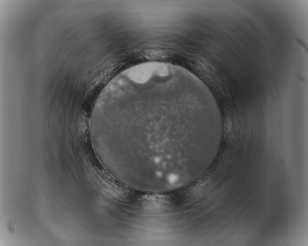 X0000102770367200809081010