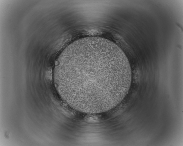 X0000102770368200809081010