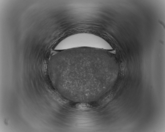 X0000102770372200809081010