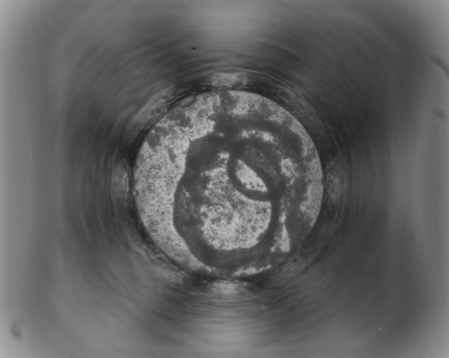 X0000102770375200809081010