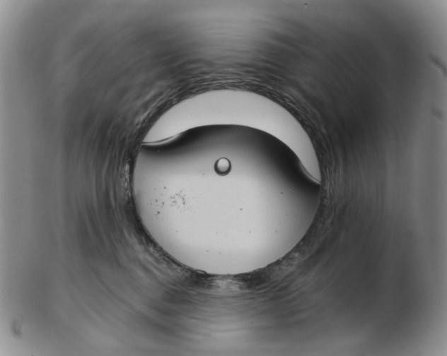 X0000102770376200809081010