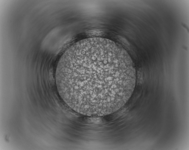 X0000102770377200809081010