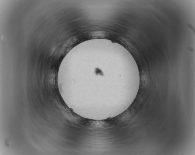 X0000102770379200809081010