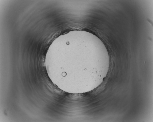 X0000102770384200809081010