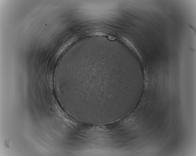 X0000102770386200809081009