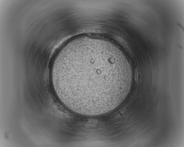 X0000102770388200809081009