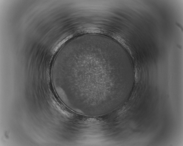 X0000102770390200809081009