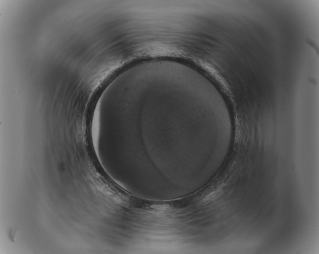 X0000102770391200809081009