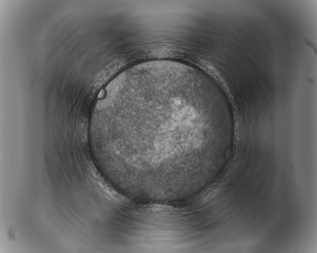 X0000102770393200809081009