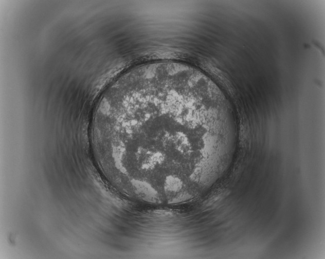 X0000102770394200809081009