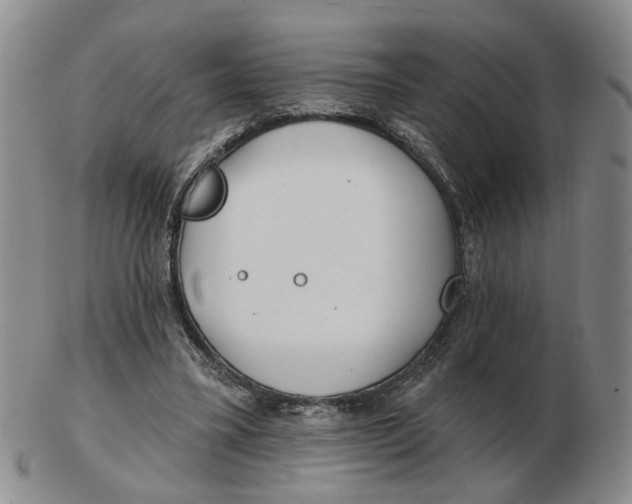 X0000102770395200809081009