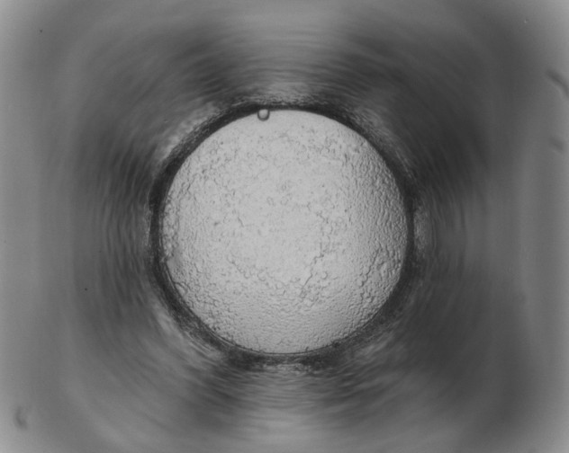 X0000102770396200809081009