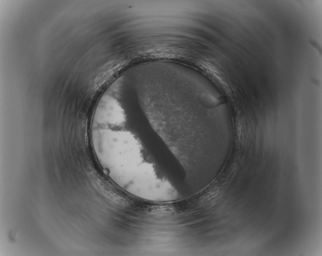 X0000102770398200809081009