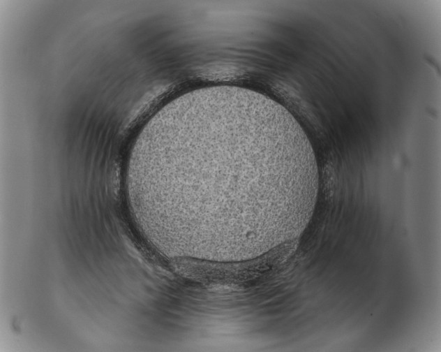 X0000102770400200809081009